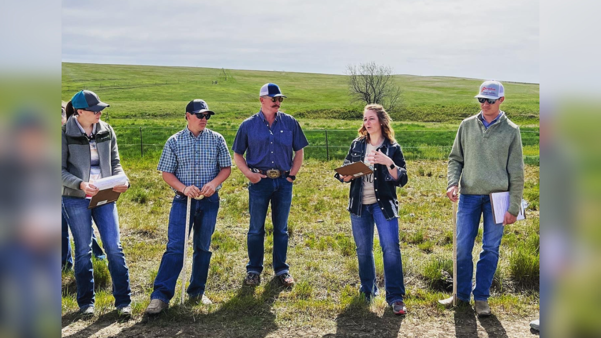 SDSU Extension class helps next generation of cattle producers - Vimarsana News