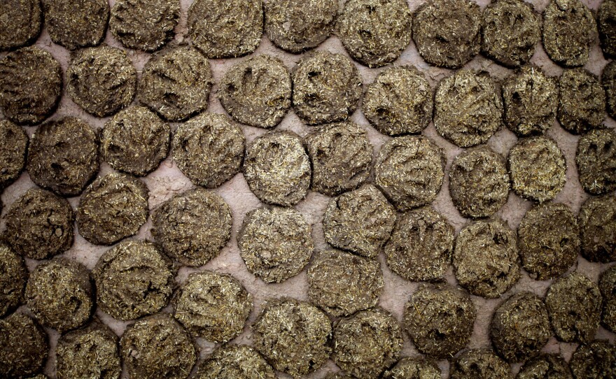 Still life with cow dung cakes.