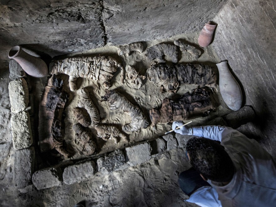 An Egyptian archaeologist cleans mummified cats in the necropolis at Saqqara, south of Cairo, on Saturday.