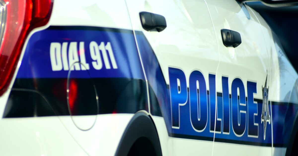 First a horse, then fireworks: unusual traffic disruptions on the Bypass