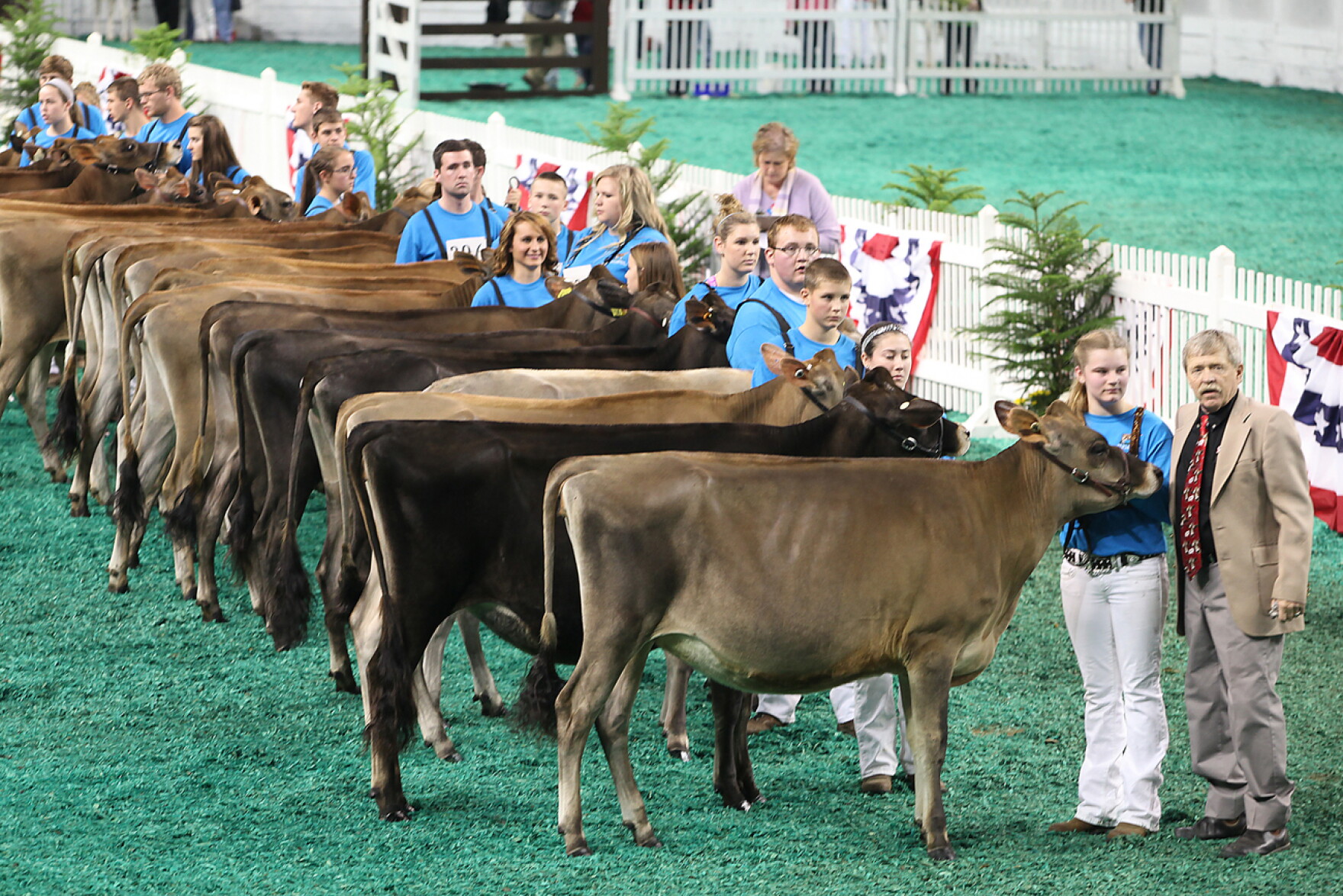 Ky State Fair 2027 Livestock Schedule