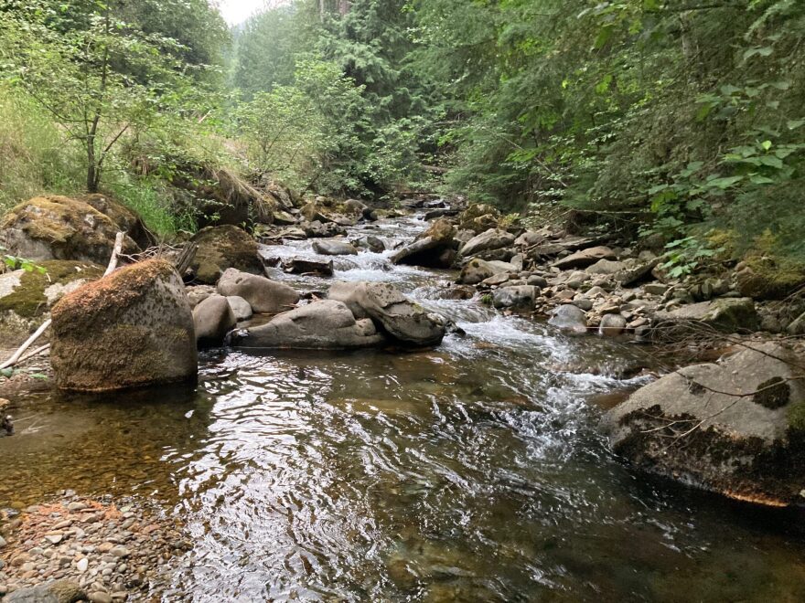 Trestle Creek is one of the most important bull trout spawning streams in the Pend Oreille Basin.