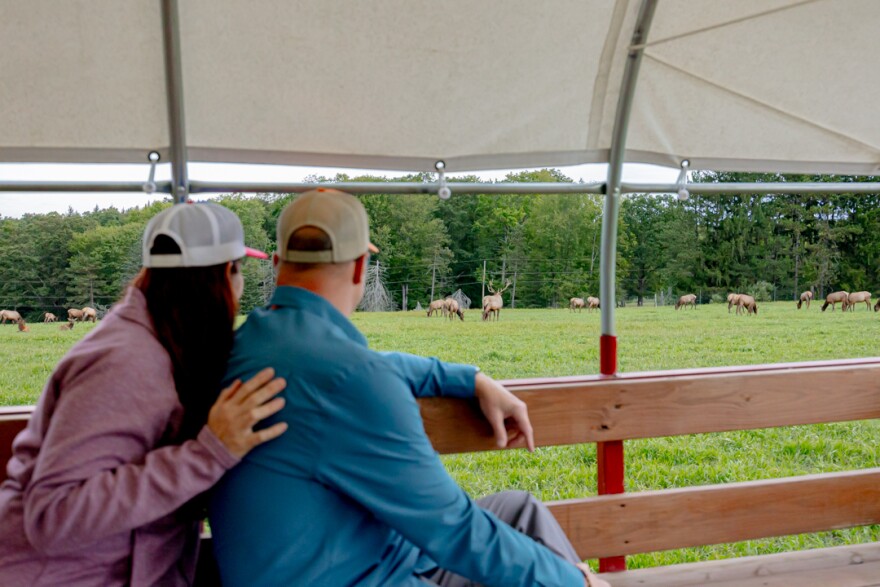 Patrice and Kevin McCabe, the hosts of "RV There Yet?," viewed some of the wild elk herd in Pennsylvania. 