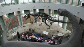 Fossil Fair at the North Carolina Museum of Natural Sciences