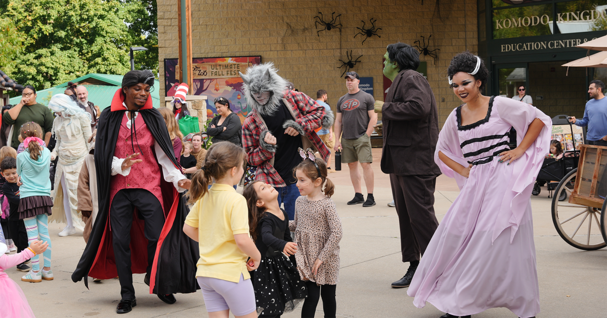 Boo at the Zoo is back at Akron Zoo, with new Dia de los Muertos area