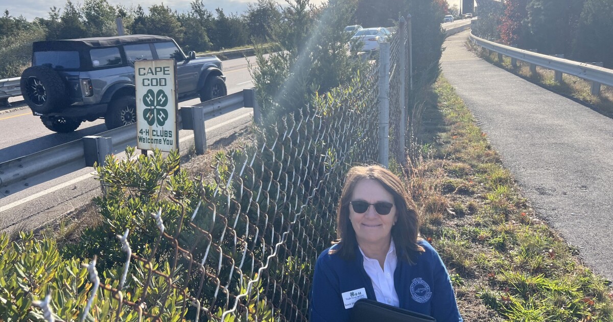 Cape Cod bridge signs: Slated for removal, each one tells a story | CAI