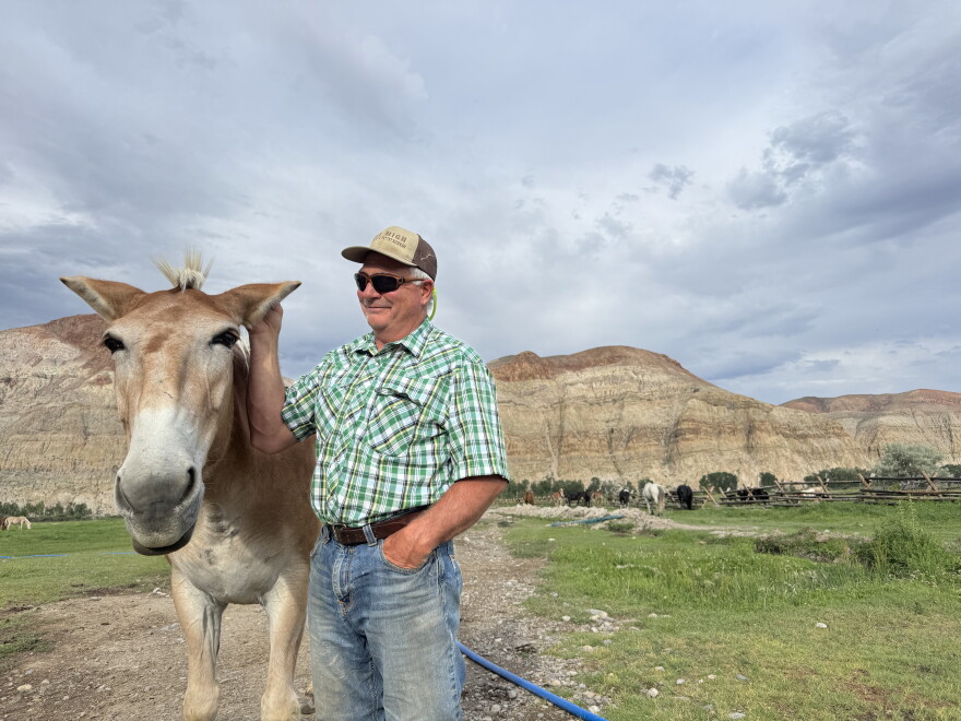 A man and a mule stand in a pasture in front of a mountain.