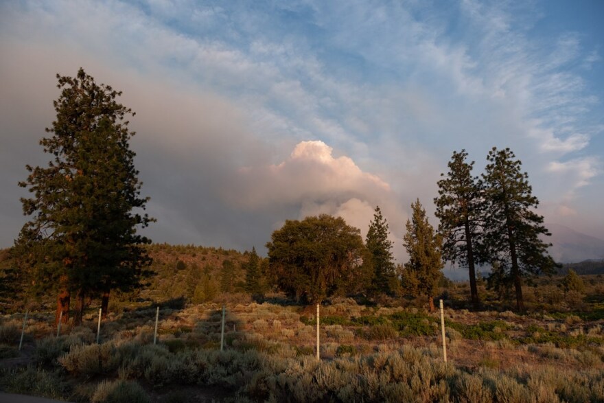 The Lava Fire burns outside Weed, Calif. June 30, 2021.