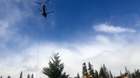 A helicopter is used to fly logs from a staging area to streams that need restoration but are no longer reached by roads. This is the largest stream restoration effort ever in the Northwest. CREDIT: COURTNEY FLATT