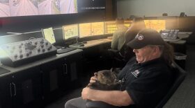 A person holds a cat on their lap in front of a large screen of security cameras.