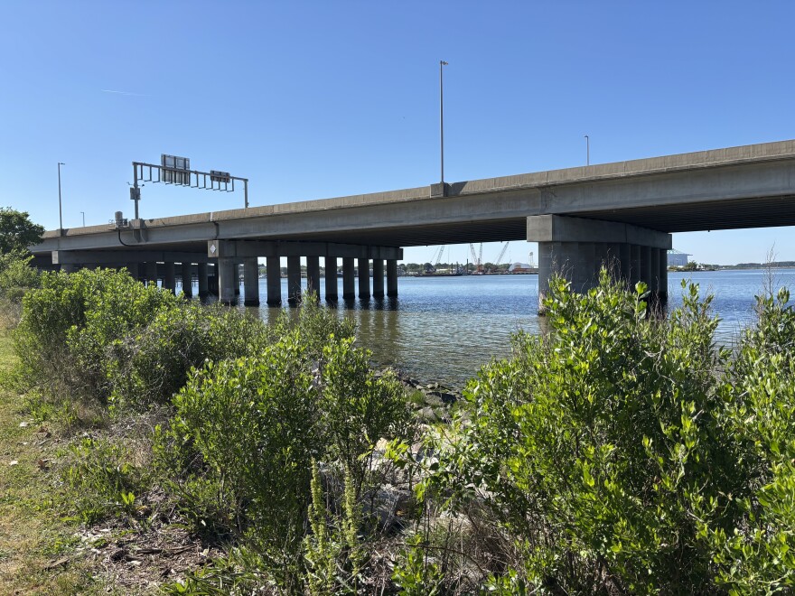 Vegetation along the shoreline of the Port Norfolk Beach Reflection Walk in Portsmouth on April 21, 2026.