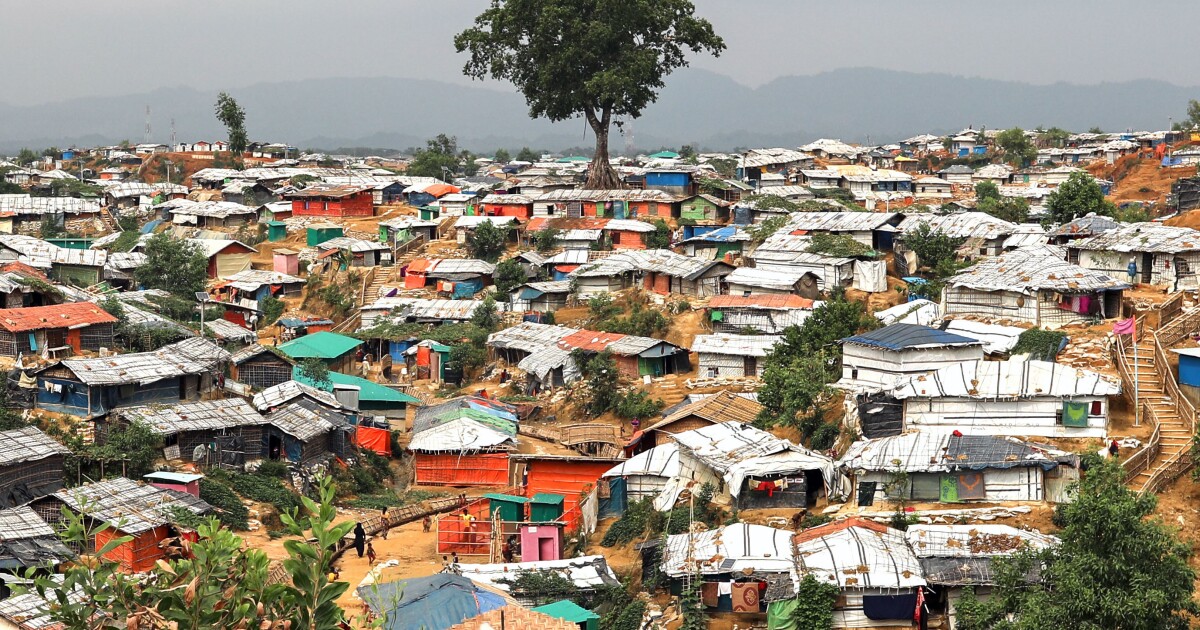 Rohingya conditions worsen as junta escalates Rakhine operations