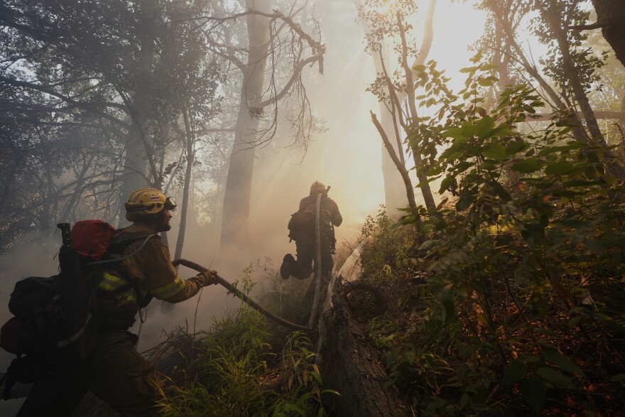 Firefighters battle wildfires in Los Alerces National Park, Argentina, Saturday, Jan. 31, 2026. (AP Photo/Victor R. Caivano)
