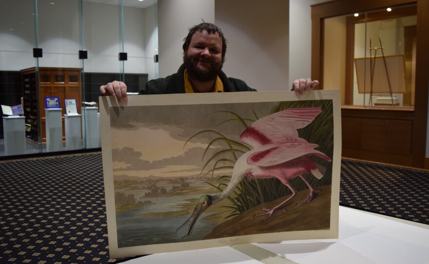 Rare books librarian Timothy Rush holds the print of his favorite bird in the James Audubon’s Birds of America collection - the Roseate Spoonbill.