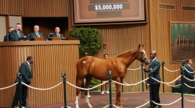 Son of Curlin