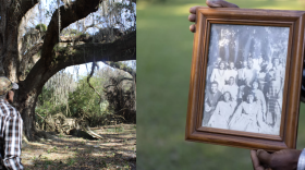 Left: John Nix looks on at an oak tree on his farm’s property. Right: His grandparents and their children pose for a photo under the same tree more than 50 years earlier. (Rose Schnabel & Katie Hyson/WUFT News)