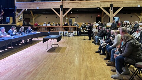 Linda Christman, president of Save Carbon County, speaks during a Penn Forest Twp. hearing about the municipalities data center zoning amendment.