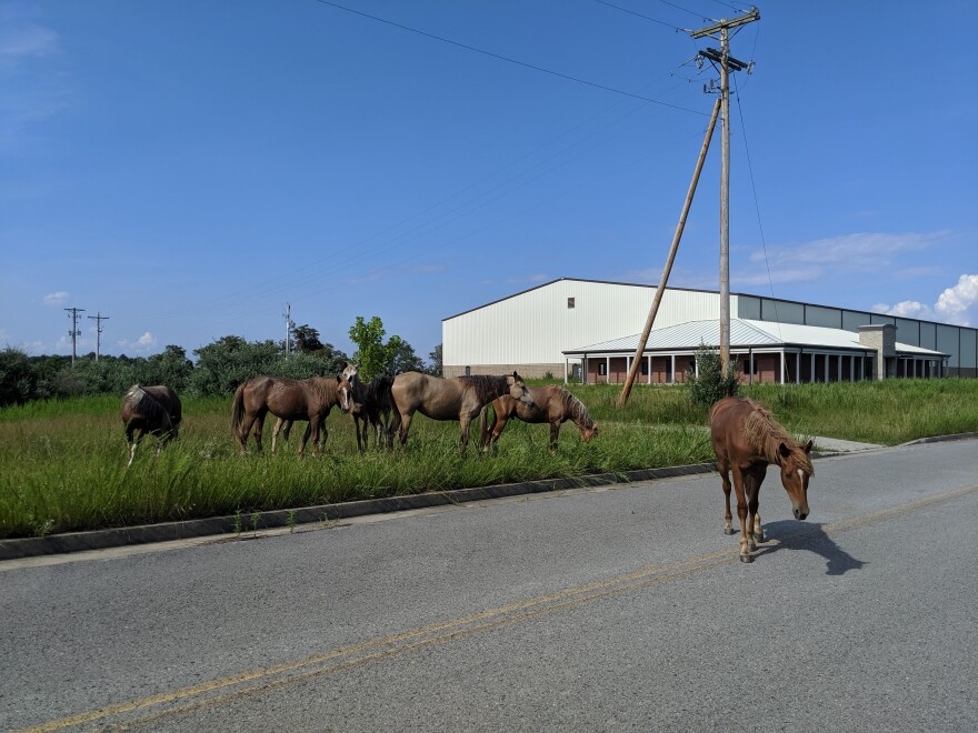 A nearly empty industrial park in Martin County, Ky.