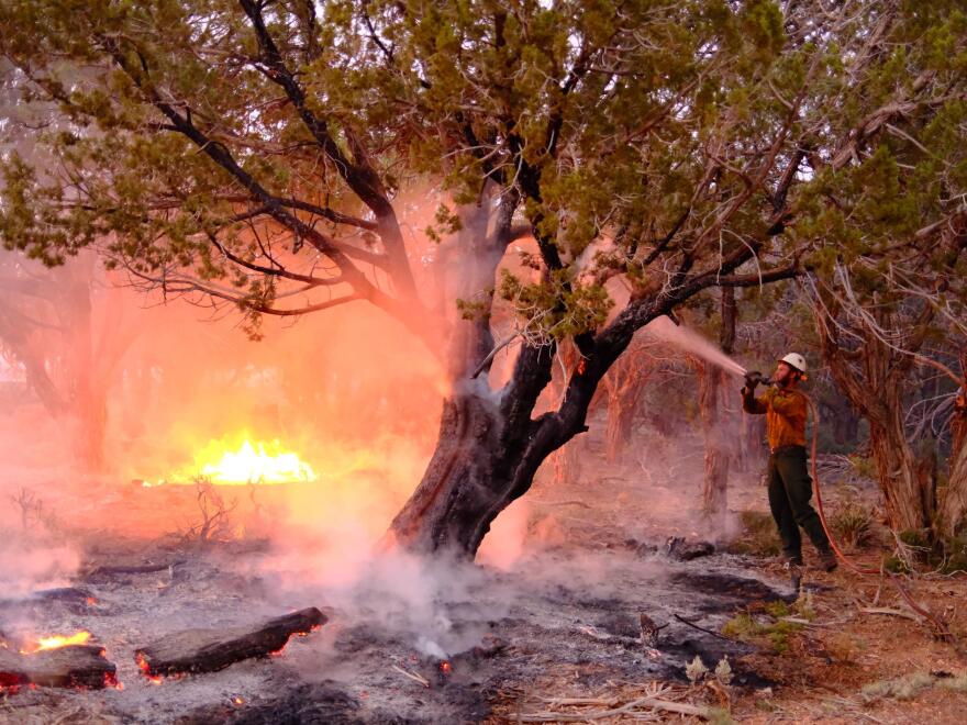A firefighter conducts nighttime operations on the White Sage Fire near Fredonia on Sun, July 20, 2025.