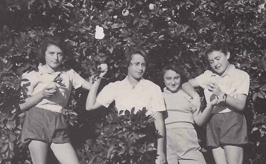A black and white photograph of four young women posing together in an orchard in front of a leafy citrus tree laden with fruit. They are standing outdoors on small wooden boxes amid tall grass, wearing mid-20th-century casual shirts, shorts, and trousers while holding pieces of fruit.
