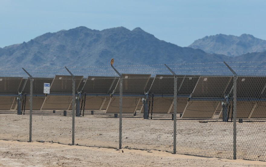 small brown owl sits on fence in front of solar panels with mountain in the background