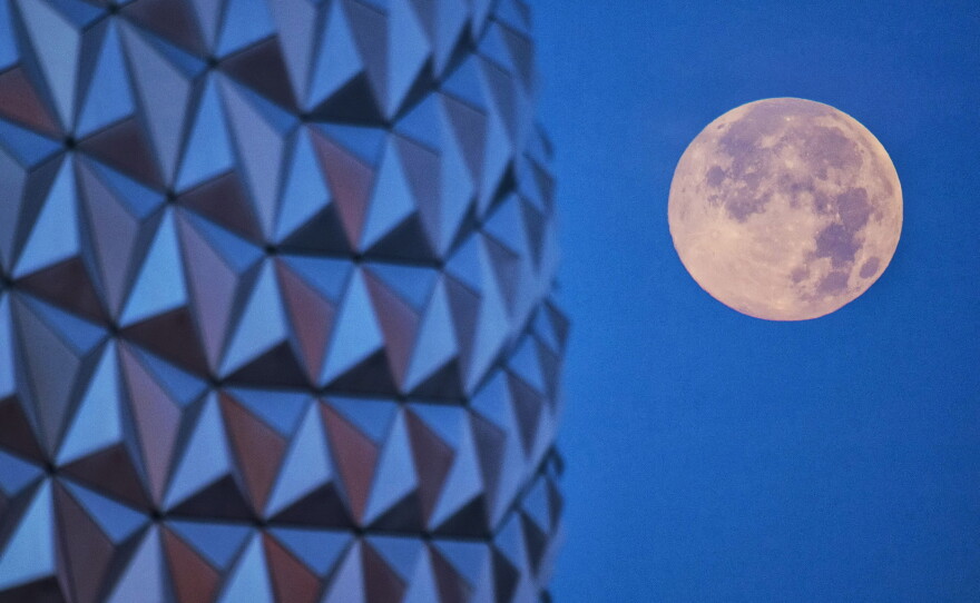 A handout photo provided by Disney Parks of Walt Disney World Resort in Lake Buena Vista, Fla., June 23