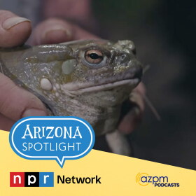 Arizona Spotlight 10/1/26 podcast thumb 