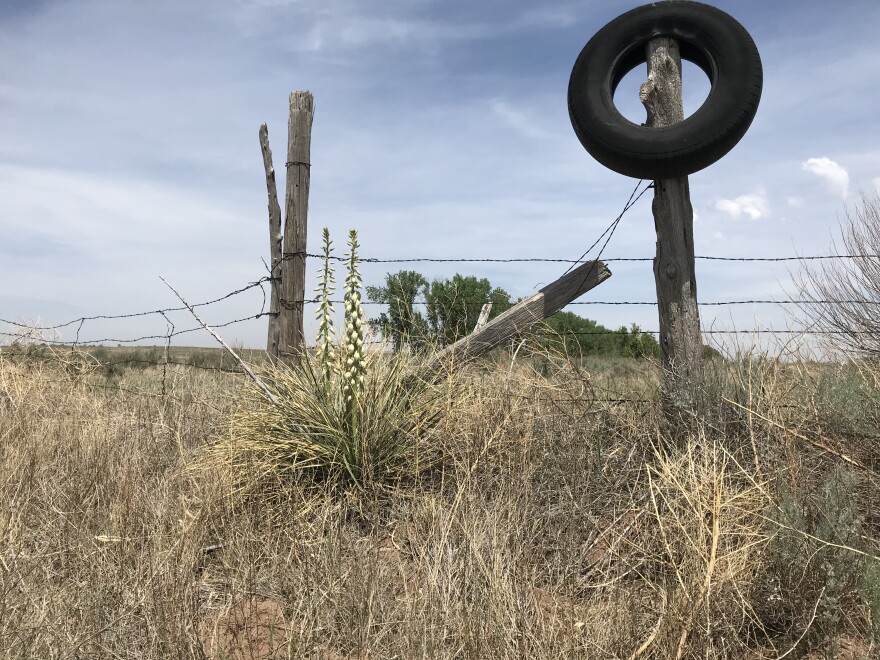 A fence in a field near Hooker, Oklahoma on May 12, 2018.