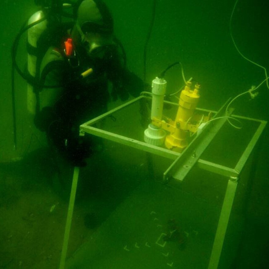 Noah Oppenheim, a graduate student at the University of Maine, sets up his underwater camera to film lobsters eat each other off the coast of Maine.