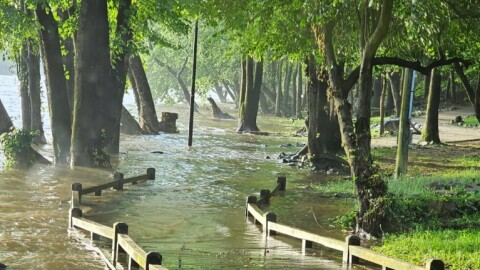 Photo of flooding in West Columbia, South Carolina.