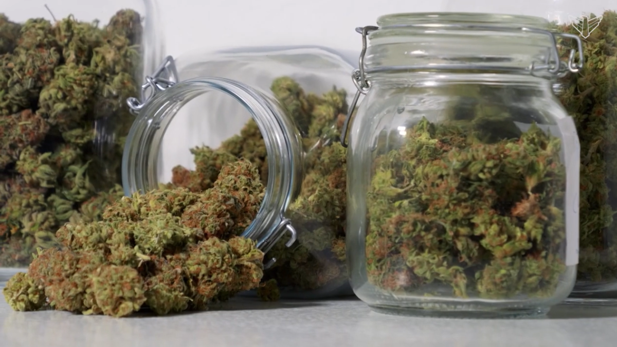 Medical marijuana licensing bill advances - Vimarsana News