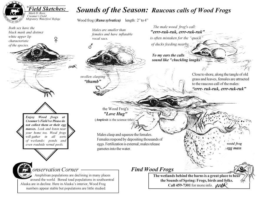 Creamer's Sounds and Sights Late Risers