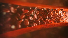 The drug razuprotafib makes blood vessels healthier and it's hoped it will work in COVID patients to prevent long-term damage to organs like the heart and lungs.