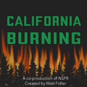 An image of pine tree silhouettes in front of flames. Above, in green lettering, are the words "California Burning."