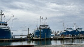 Part of the Omega Protein fishing fleet tied up at Reedville on the Chesapeake Bay.