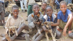 Boys show off their four-legged friends at a rabies vaccination drive set up by the Serengeti Health Initiative in the Bariadi District of Tanzania.