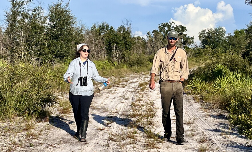Shelagh Lynch and Tyler Buckley help monitor the scrub-jay population at Wingate Creek State Park in Myakka City. 48 young scrub-jays were successfully moved to the park in January 2026.