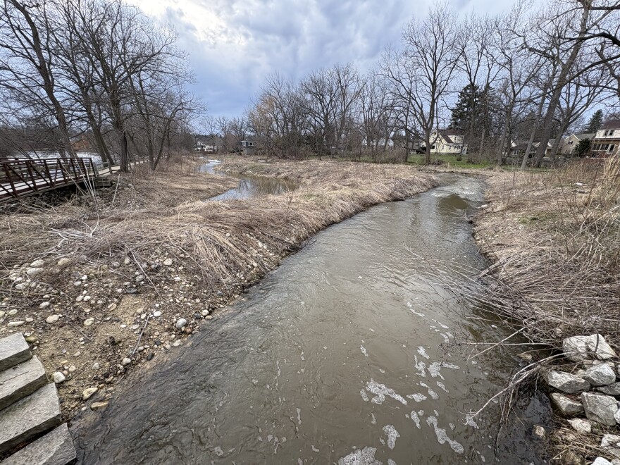 On March 30, 2026 the first adult sturgeon made its way 20 miles upstream from Lake Michigan to this fishway at the Thiensville-Mequon dam on the Milwaukee River. An underwater camera captured the 15-year-old male. He's more than 50 inches long.