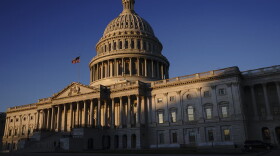 The Capitol is seen at sunrise on the first full day of the impeachment trial of President Trump on charges of abuse of power and obstruction of Congress, in Washington, Tuesday, Jan. 21, 2020. (J. Scott Applewhite/AP)