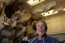 Bob Luzitano at his home taxidermy shop in Layton, Utah, June 27, 2025