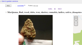 An ad posted to "farm & garden services" on the Western Massachusetts Craigslist in January of 2017.