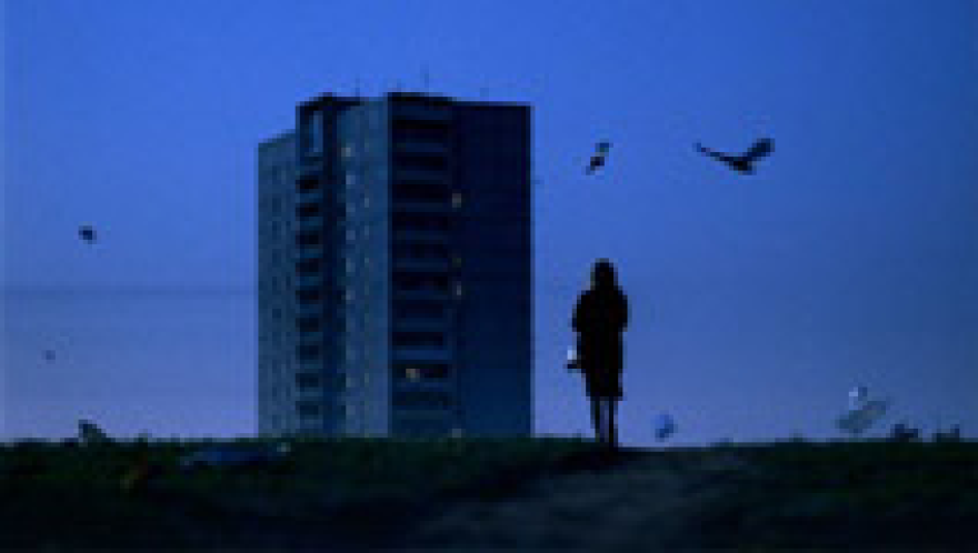 For the birds . . .