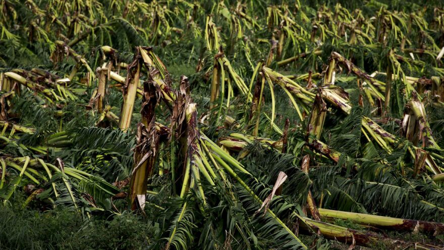 José Jiménez/Getty Images