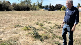 A middle aged man wearing jeans and a dark blue button down is standing in a dry grass field, gazing off to the left. 
