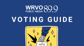 Illustration of a hand dropping a ballot marked 'Vote' into a ballot box. WRVO 2026 Voting Guide. Election Day: Nov. 3.