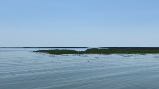 Bay waters off the Eastern Shore seen in 2022.