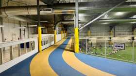 a Juneau elevated track