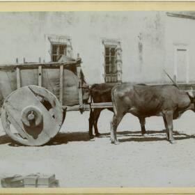 Since the early 1800s, Hispano mule-drivers (arrieros) had transported goods from the Texas coast to San Antonio and nearby communities. After Texas became a state, they were often targeted by whites intent on gaining control of the carting trade.