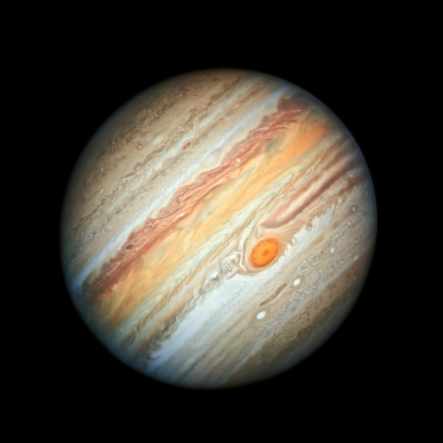 The Great Red Spot | WAMC