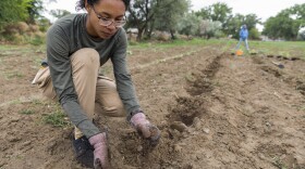 With all travel, lodging, and food costs covered through the Native American Agricultural Fund, Fort Lewis College student Kalyn Kervin has access to Sixth World Solutions’ summer internship program. “I would like to find a career back on Pine Ridge Indian Reservation to help my community [confront] the health issues plaguing them today due to a lack of access to healthy food.”